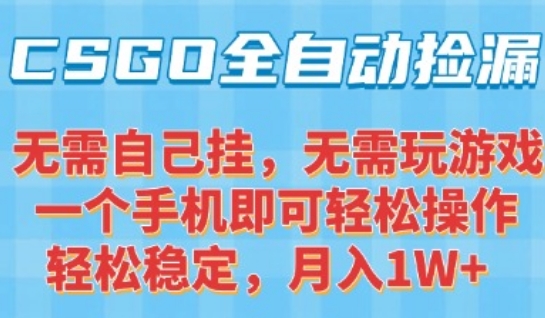 CSGO自动捡漏项目，最新独家玩法，一个手机可操作，新手小白轻松月入1W+，操作简单易上手【揭秘】-易知付