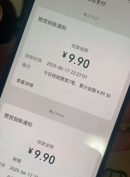 二次元男粉快速变现项目，私域卖虚拟产品，百分利润-易知付