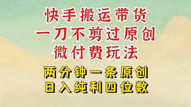 快手黑科技搬运带货，一刀不剪过原创，微付费投流玩法，轻松日入四位数…-易知付