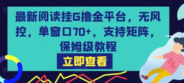 最新阅读挂G撸金平台，无风控，单窗口70+，支持矩阵，保姆级教程【揭秘】-易知付