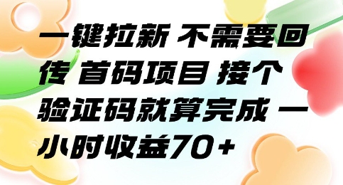 一键拉新 不需要回传 首码项目 接个验证码就算完成 一小时收益70+【揭秘】-易知付