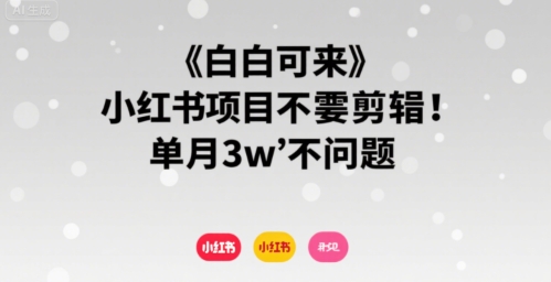 小白可来 小红书项目不需要剪辑 单月3w不是问题-易知付