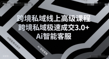 跨境私域线上高级课程，跨境私域极速成交3.0+Ai智能客服-易知付