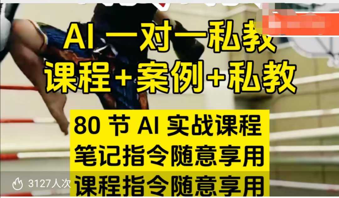 AI指令实战课，课程+案例，80节AI实战课程，笔记指令随意享用，课程指令随意享用(更新7月)-易知付