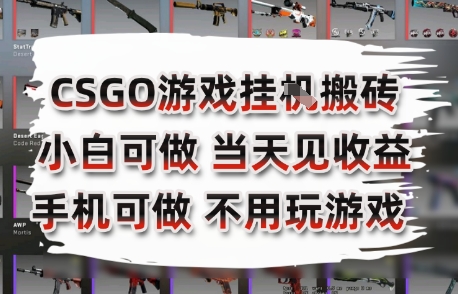 CSGO游戏挂G搬砖，小白纯手机即可操作，不用电脑打游戏，日入3张+，副业网创项目【揭秘】-易知付