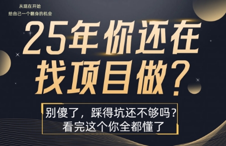 25年，你还在疯狂的找项目吗？别傻了，看完这个你都懂了【揭秘】-易知付