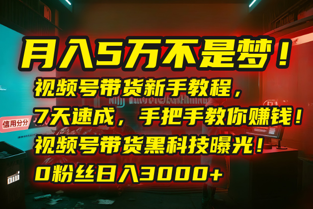 月入5万不是梦！视频号带货新手教程，7天速成，手把手教你赚钱！视频号…-易知付