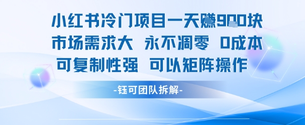 小红书冷门项目一天收益9张，市场需求大，0成本，可复制性强可以矩阵操作-易知付