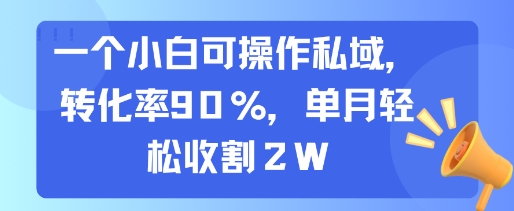 一个小白可操作私域，转化率90%，单月轻松收割2W-易知付