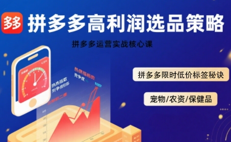 拼多多选品暴利技术实战课，拼多多高利润选品策略，拼多多限时低价标签秘诀-易知付