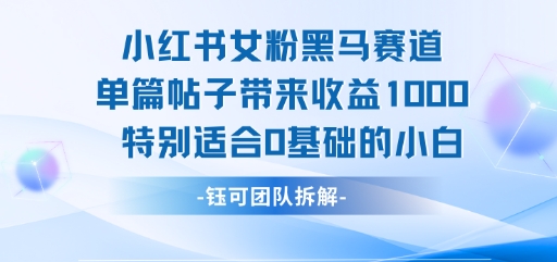 小红书女粉黑马赛道单篇帖子带来收益1k+，特别适合0基础的小白-易知付