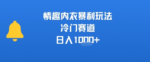 情趣内衣暴利玩法，冷门赛道，日入1k+-易知付