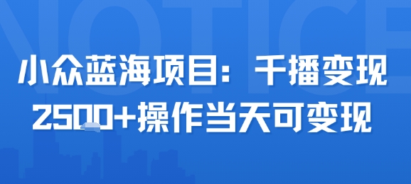 小众蓝海项目，千播变现2.5k+操作当天可变现-易知付