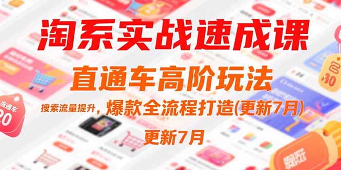 淘系实战速成课，直通车高阶玩法，搜索流量提升，爆款全流程打造(更新7月-易知付