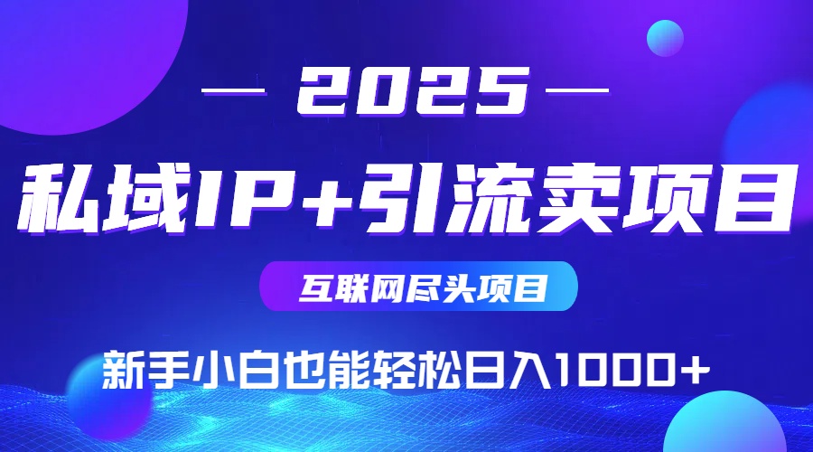 2025网创尽头项目，私域IP+引流，新手小白也能在家日入1000+-易知付