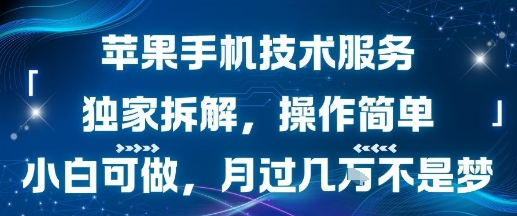 苹果手机技术服务，独家拆解，操作简单，小白可做，月过1W不是梦-易知付