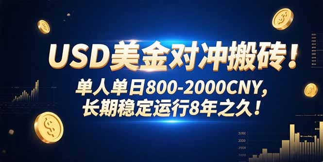 USD美金对冲搬砖!单人单日800-2000CNY，长期稳定运行8年之久!-易知付