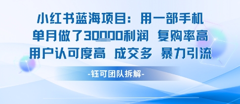小红书蓝海项目，一部手机单月做了3W利润，小白也能月入过1W用户认可度高成交多-易知付
