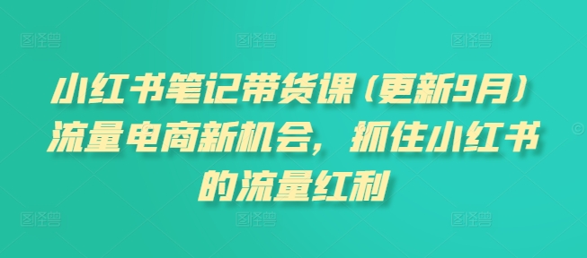 小红书笔记带货课(更新25年5月)流量电商新机会，抓住小红书的流量红利-易知付