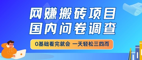 网创搬砖项目，国内问卷调查，小白轻松上手，一天三四张的也不难，干就完了【揭秘】-易知付
