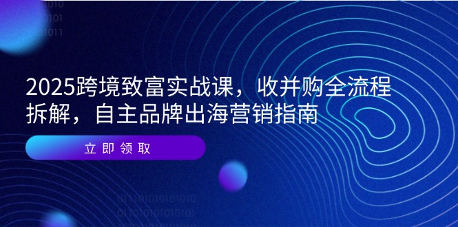 2025跨境致富实战课，收并购全流程拆解，自主品牌出海营销指南-易知付