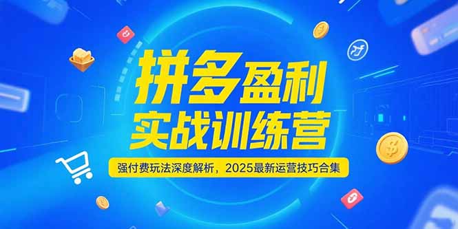 拼多多盈利实战训练营，强付费玩法深度解析，2025运营技巧合集-更新6月-易知付