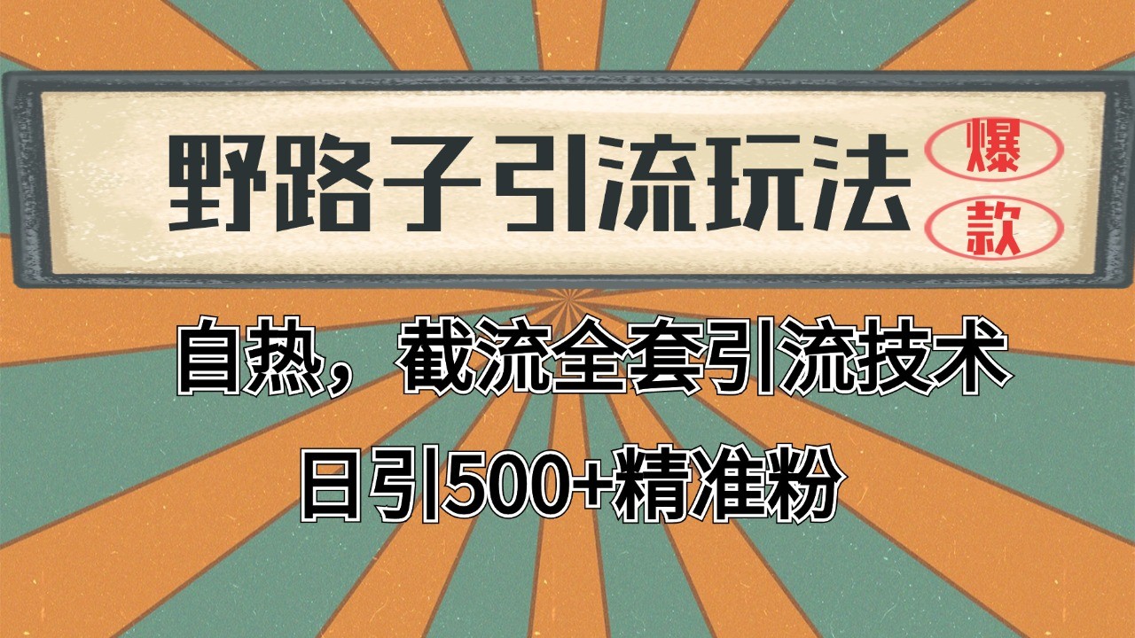 2024首发野路子引流玩法截流自热全平台打法，全自动引流【日引2000+精准客户】-易知付
